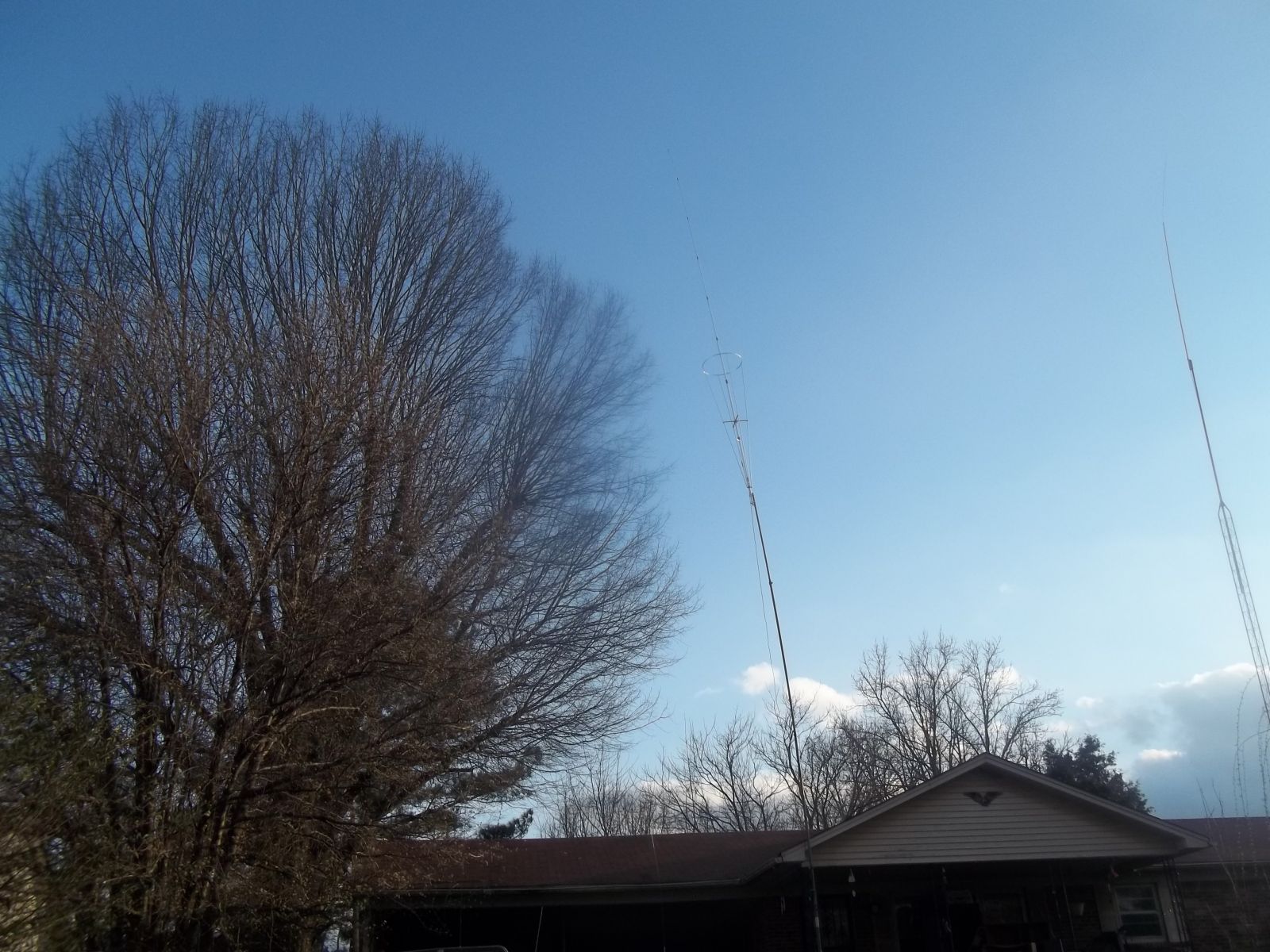 100 2066