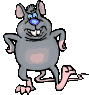 Rat's Photo