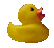 Rusty Duck's Photo