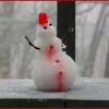 Southern Snowman's Photo